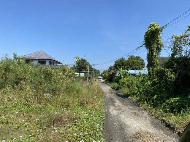 ��º�ҹ����� ˹ͧ�͡