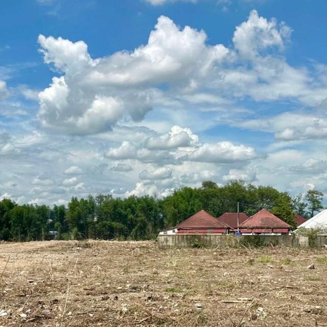 ขายที่ดิน เมือง 14 ไร่ ขายที่ดิน เมือง 14 ไร่