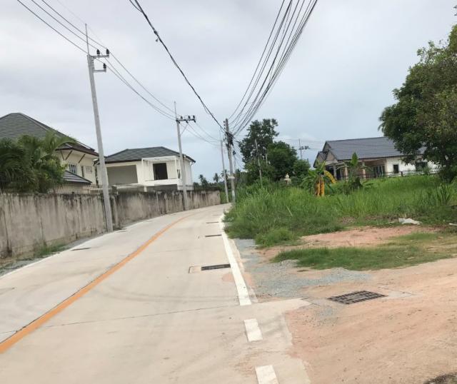 ขายที่ดิน 2,800,000 บาท ขายที่ดิน 2,800,000 บาท