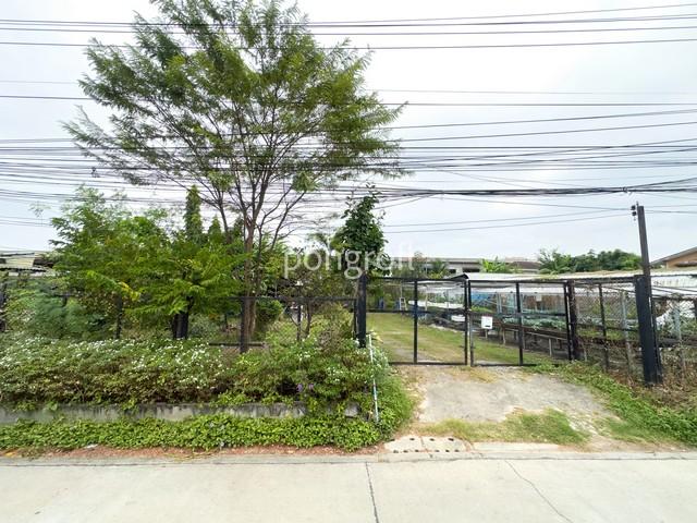 ���Թ�ҧࢹ ��ا෾��ҹ��