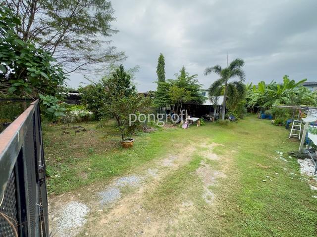 ��·��Թ �ҧࢹ