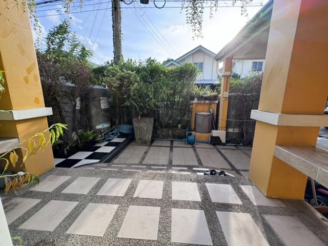 ��ҹ�ѭ���� �����ҹ�