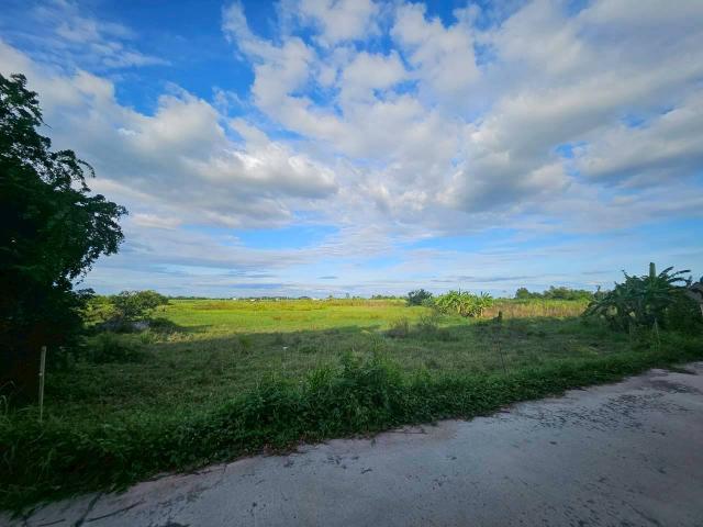 ���Թ �Դ����