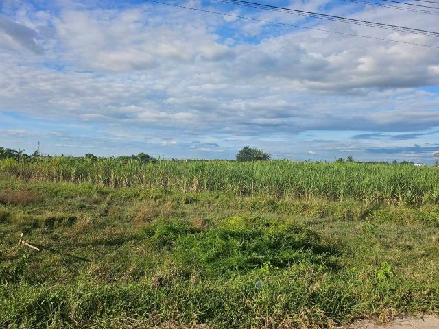 ��·��Թ ���ʹԤ��ź���