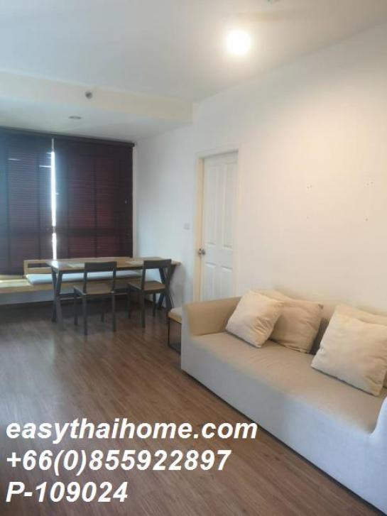 ��¤͹� ������