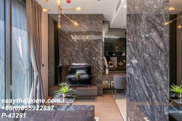 �͹������� �ҧ�ѡ