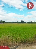 ���Թ�Դ�����