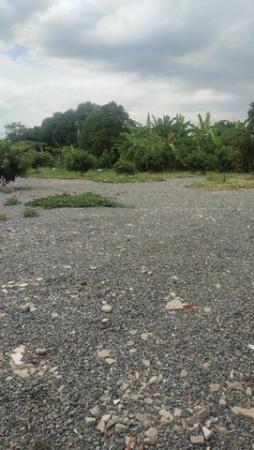 ���Թ �ǹ��ǧ