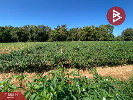 ��·��Թ ���ͧ�شøҹ� �شøҹ�