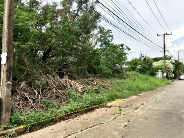 ที่ดิน ทิศใต้ ที่ดิน ทิศใต้