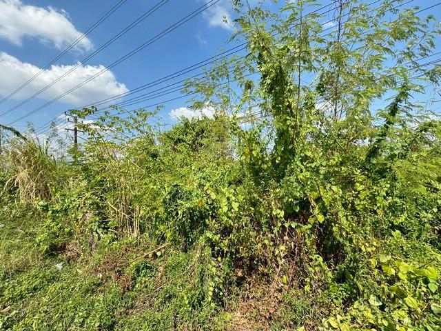 ��·��Թ ���ͧ�ѹ����ըѹ�����