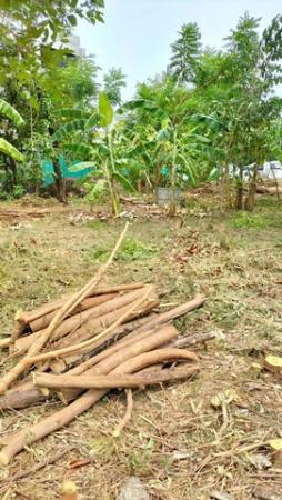 ¢Ò·Õè´Ô¹ Paradise ¢Ò·Õè´Ô¹ Paradise