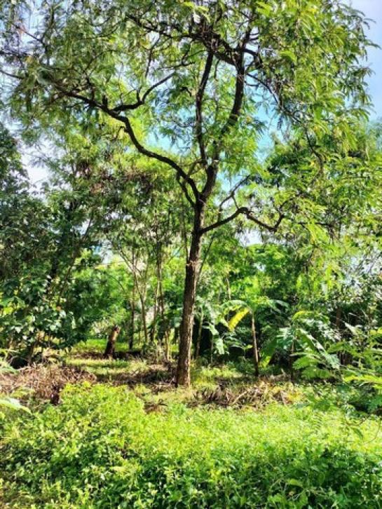 ��·��Թ ���⢹���ا෾