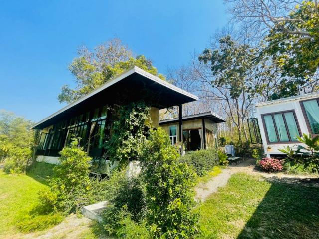 ��º�ҹ ��������§����