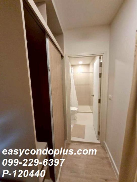 �͹������� ��л��ᴧ��طû�ҡ��