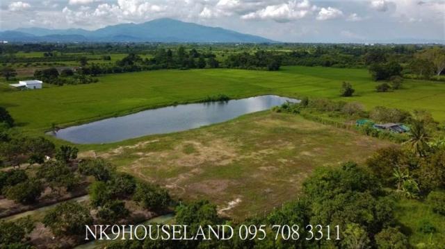 ���Թ 5 ���