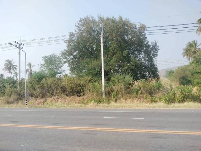 ���Թ 21 ���