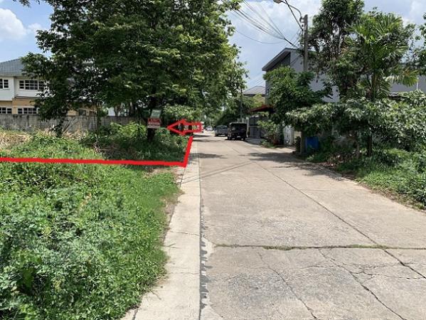 ��·��Թ �оҹ�٧��ا෾