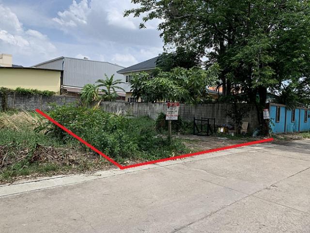 ��·��Թ �оҹ�٧��ا෾