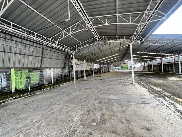 ⡴ѧ �͹���ͧ