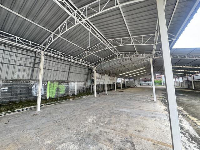 ⡴ѧ������ �͹���ͧ��ا෾