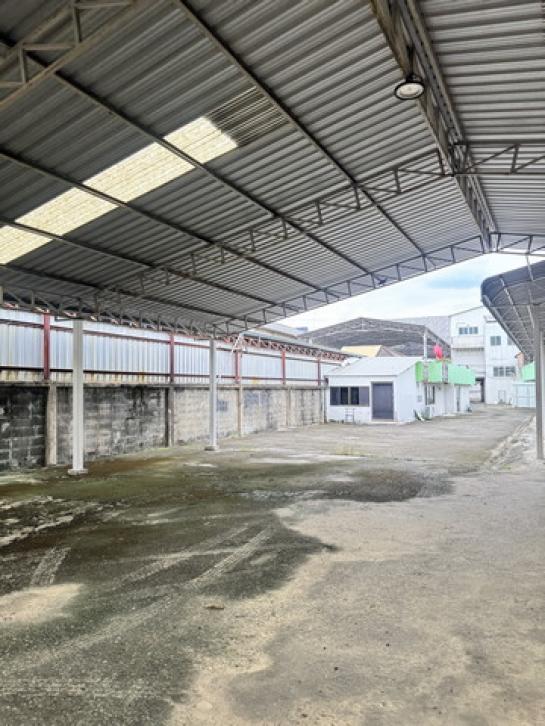 ⡴ѧ������ �͹���ͧ��ا෾