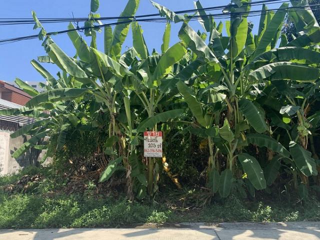 ���Թ ��بѡ�