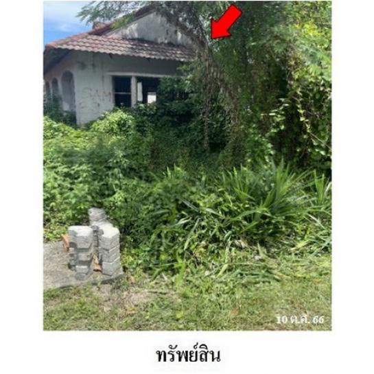 ���Թ �Է��ࢵ