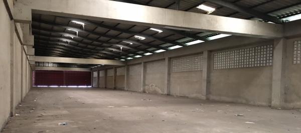 ⡴ѧ������ ����Сҡҭ������