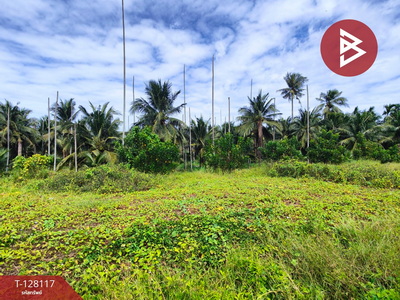 ��û�� �� The Best Property Agent