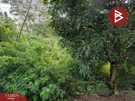 ��·��Թ ���ͧ���ͧ���ͧ