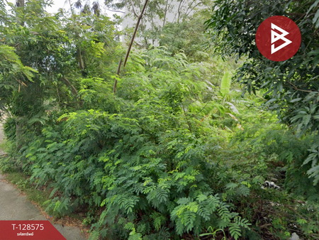 ��·��Թ ���ͧ���ͧ���ͧ