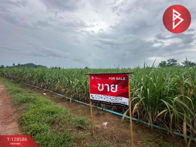 �ҭ������ �� The Best Property Agent