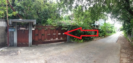 ���Թ ���¢�ҧ