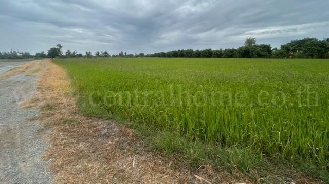 ��·��Թ ���ͧ�ؾ�ó�����ؾ�ó����