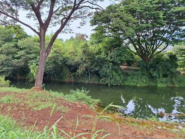 ���Թ �ҡ��ͧ ����Ҫ����