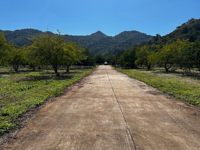 ��·��Թ ����Ҫ����