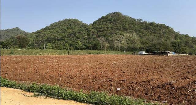 ��·��Թ �ҡ��ͧ����Ҫ����