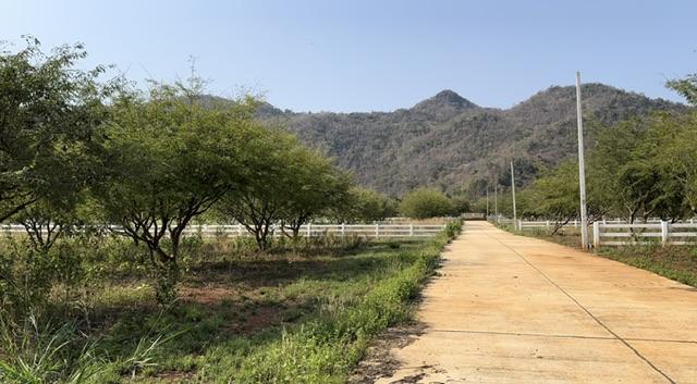 ��·��Թ �ҡ��ͧ����Ҫ����