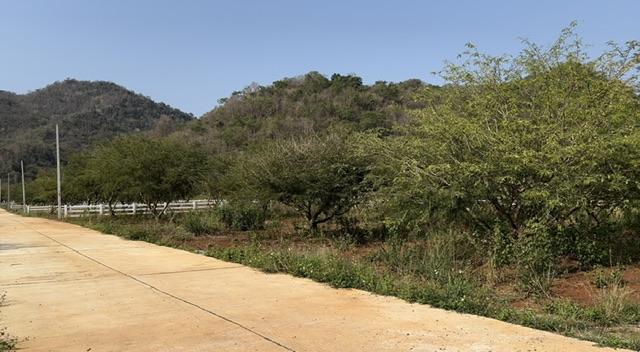 ��·��Թ �ҡ��ͧ����Ҫ����