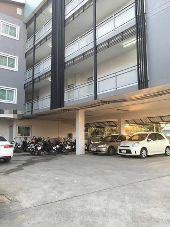 ;�����鹷�