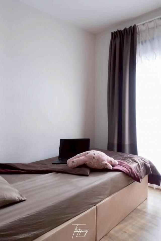 �͹������� �ҧࢹ