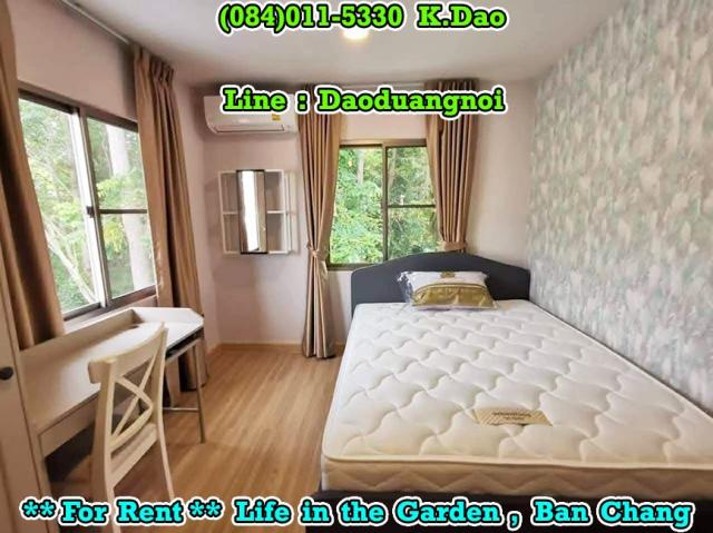 ��ҹ������ ��ҹ�ҧ ���ͧ