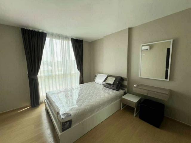 �͹������� ���ͧ��§������§����