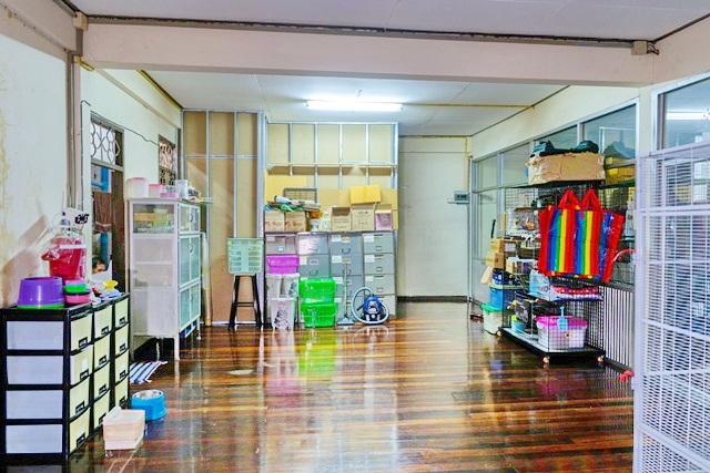 �ç�ҹ������ �ҧ������