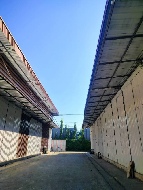 ⡴ѧ ������