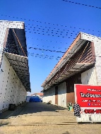 ������⡴ѧ ������