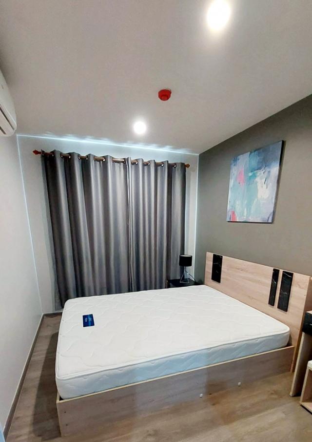 �͹� ����������