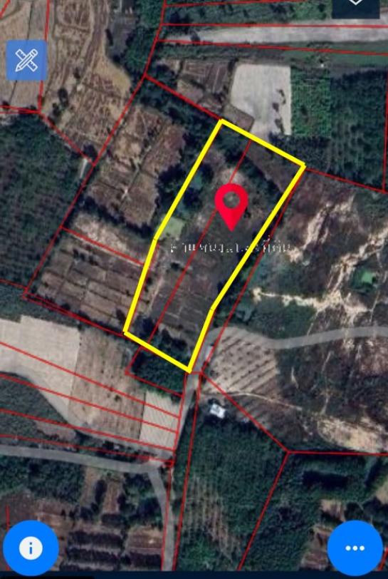 ที่ดิน ระยะยาว ที่ดิน ระยะยาว