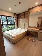 ������ �͹�